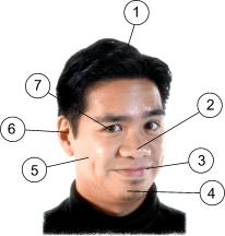 Image of a Human Head